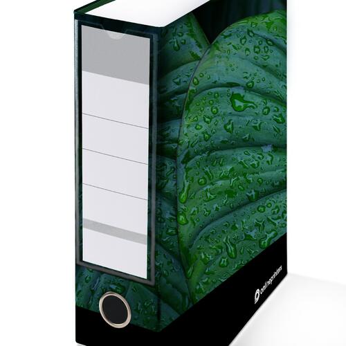 Classeur imprim� avec m�canisme � anneaux et �tiquette de dos.