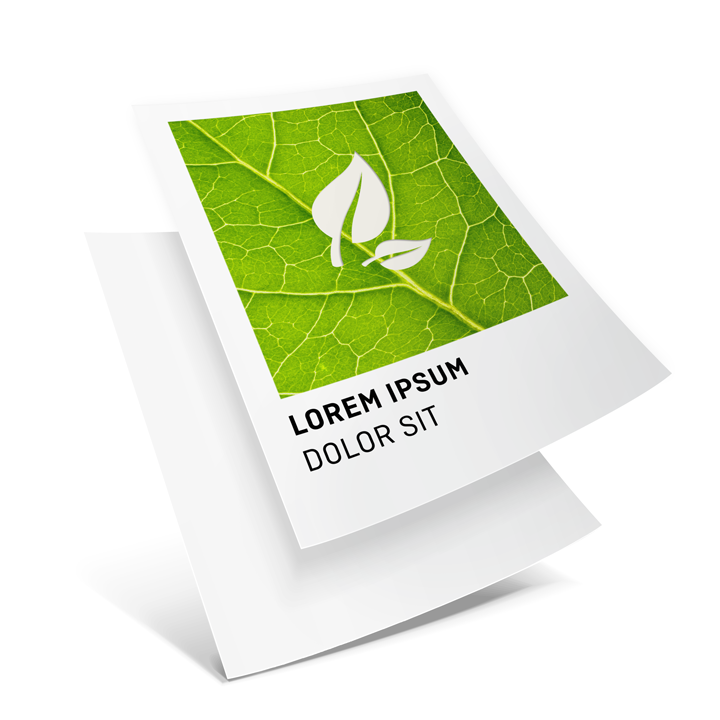 Image Écologique : notre topseller en papier recyclé